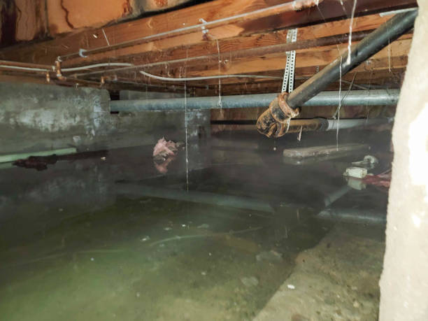 Best Water damage restoration experts  in Alliance, NE