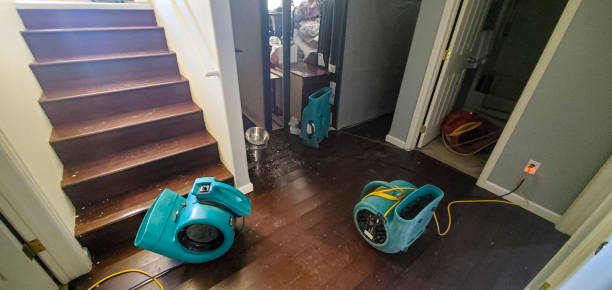 Best Water damage mitigation services  in Alliance, NE