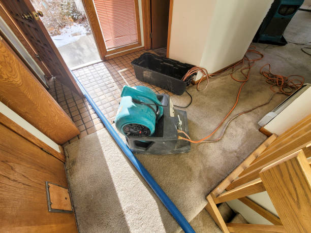 Best Flood damage cleanup  in Alliance, NE