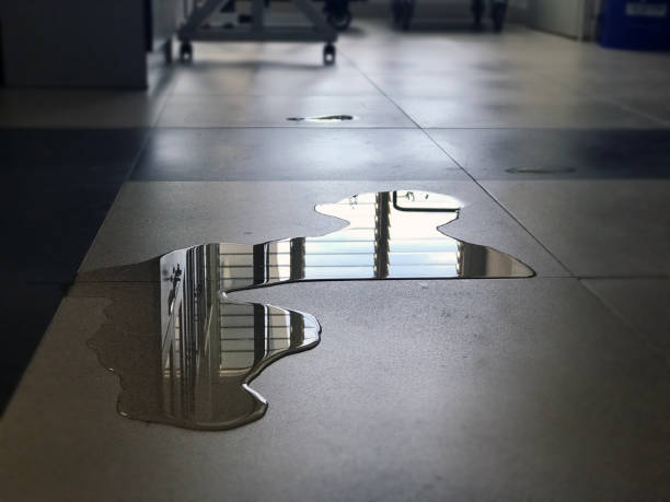 Best Water damage restoration near me  in Alliance, NE