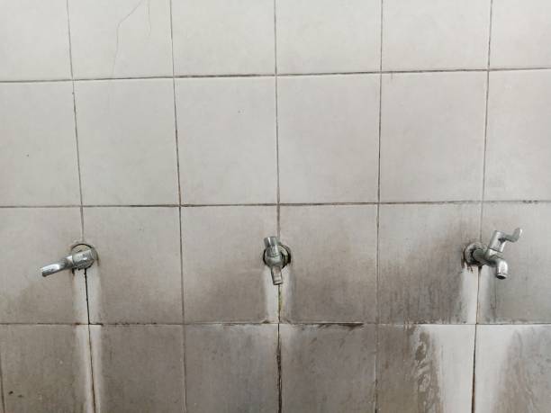 Best Local water damage restoration  in Alliance, NE