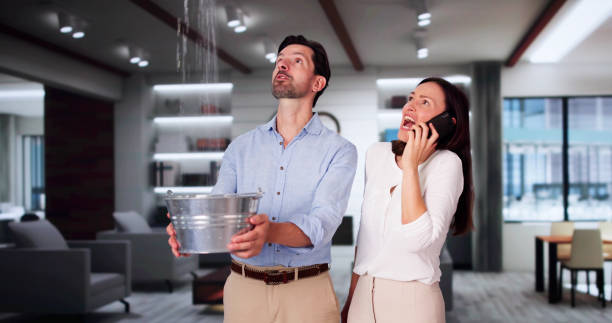 Best Professional water damage repair  in Alliance, NE