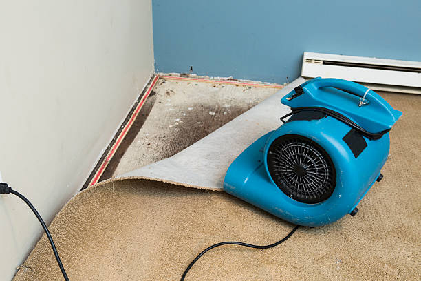 Best Sewage cleanup and water damage restoration  in Alliance, NE